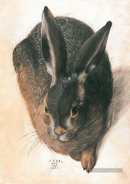  hare peinture à l’huile - Hare Albrecht Dürer